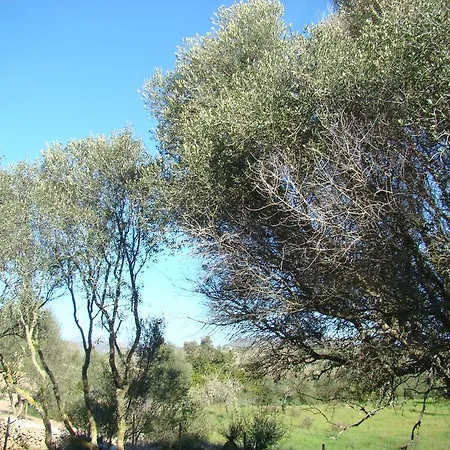 Cas Padri Guillem Bauernhof