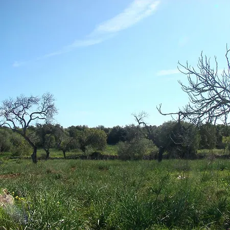 Farm stay Cas Padri Guillem