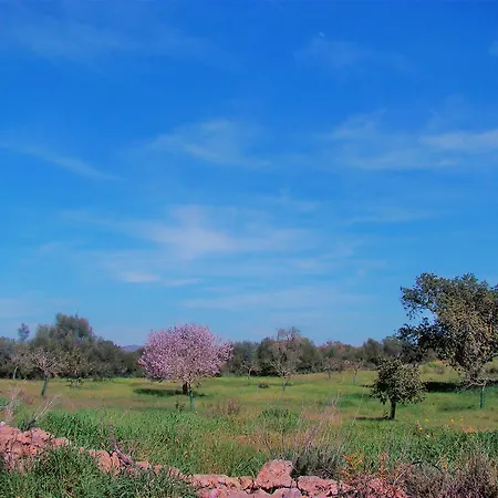 Farm stay Cas Padri Guillem *