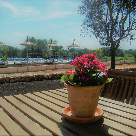 Cas Padri Guillem Farm stay Sant Llorenc Des Cardassar